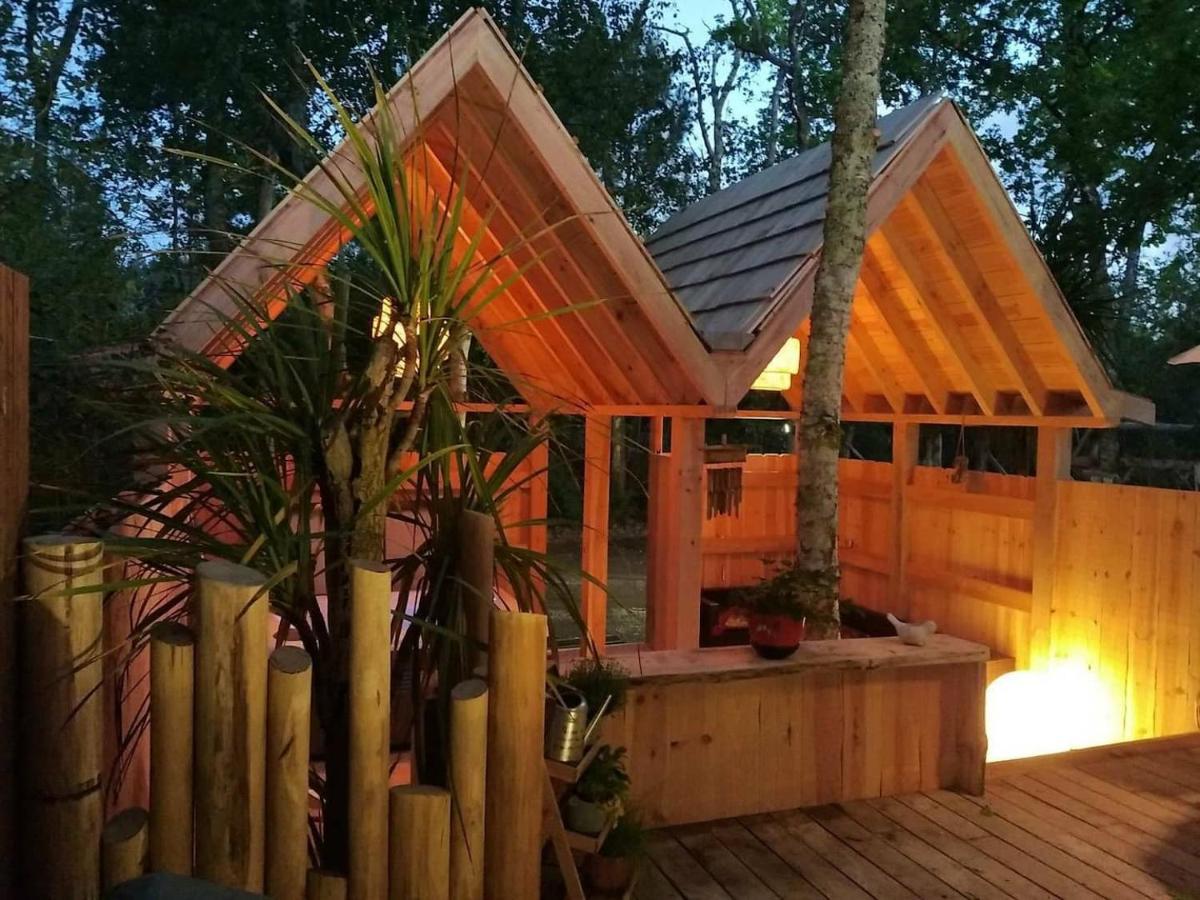 Le Petit Coin De Paradis Lacanau Exterior foto